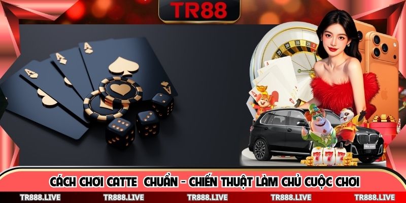 Cách Chơi Catte Chuẩn - Chiến Thuật Làm Chủ Cuộc Chơi