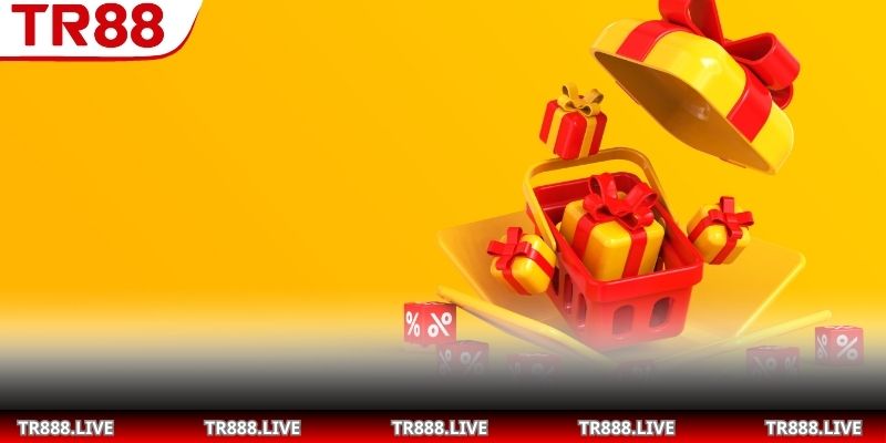 Tìm hiểu tổng quan về khuyến mãi TR88 chuẩn